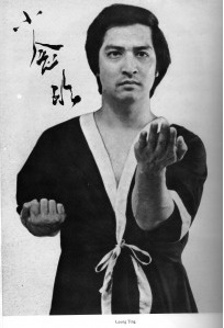 Leung Ting - Wing Tsun